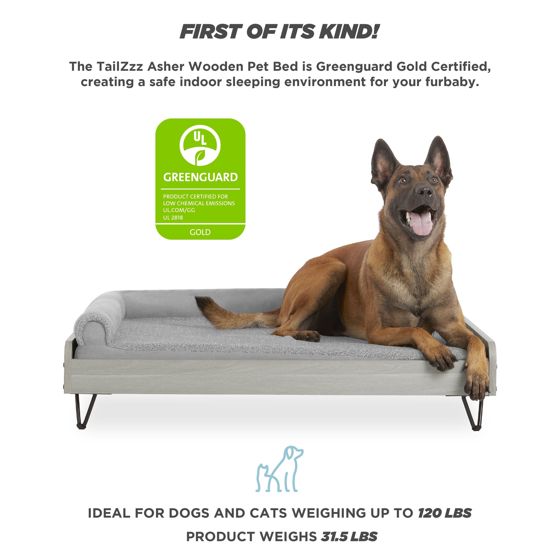 Asher Small Wooden Elevated Pet Bed with Mattress, Greenguard Gold Certified